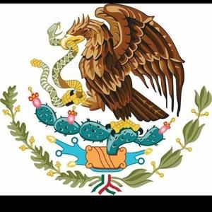 Meet your Posher, Federico